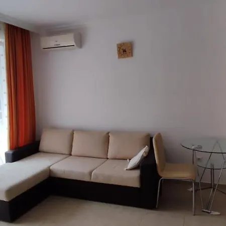 Dom-el Real Amphora *