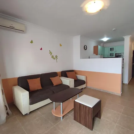 Dom-el Real Amphora سفيتي فلاس