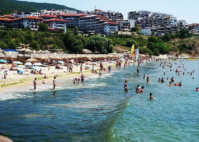 Dom-el Real Amphora *