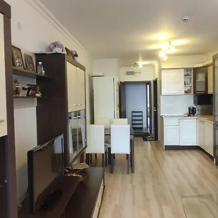 Dom-el Real Amphora スヴェティ・ヴラス