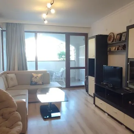 Dom-el Real Amphora スヴェティ・ヴラス