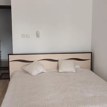 Dom-el Real Amphora * スヴェティ・ヴラス